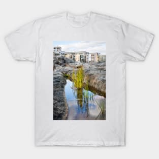 Lakeshore Bulrush T-Shirt